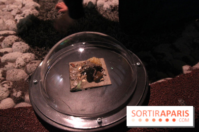 Exposition BéBés animaux à la Cité des Sciences, les photos