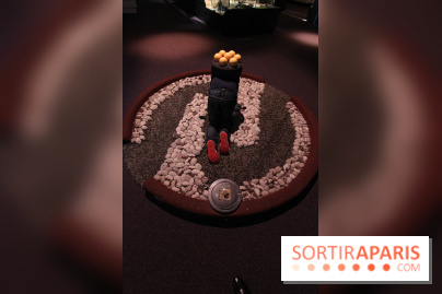 Exposition BéBés animaux à la Cité des Sciences, les photos