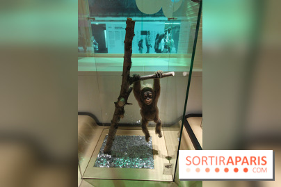 Exposition BéBés animaux à la Cité des Sciences, les photos