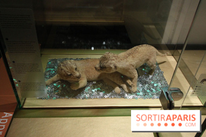 Exposition BéBés animaux à la Cité des Sciences, les photos