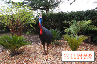 Le Labyrinthe de Thoiry