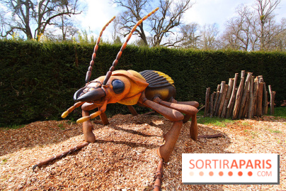 Le Labyrinthe de Thoiry