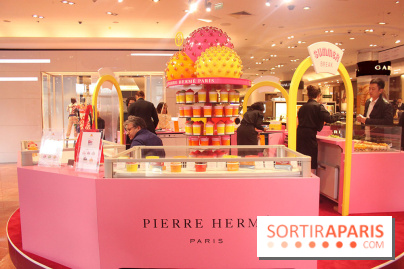 Bar à glaces Pierre Hermé