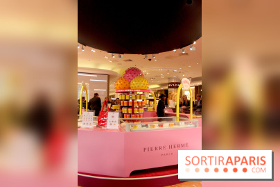 Bar à glaces Pierre Hermé