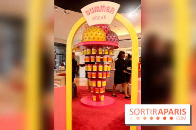 Bar à glaces Pierre Hermé