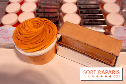 Bar à glaces Pierre Hermé