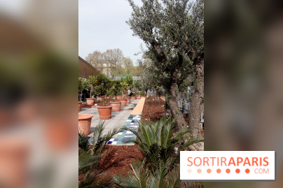 Jardin d'Orient à l'Institut du Monde Arabe