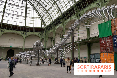 Monumenta 2016 au Grand Palais