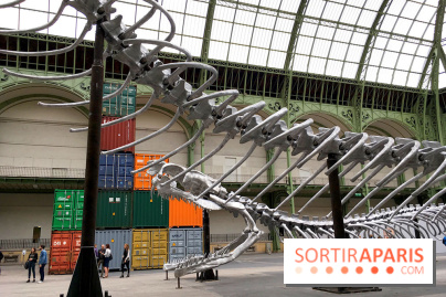 Monumenta 2016 au Grand Palais