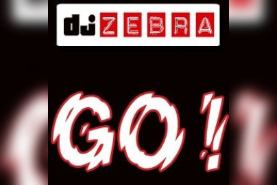 Soirée, Paris, Zebra, Elysée Montmartre, Bootleg, Mash up