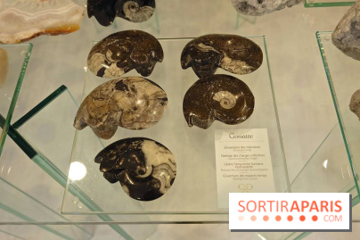 Cristaux et Couleurs