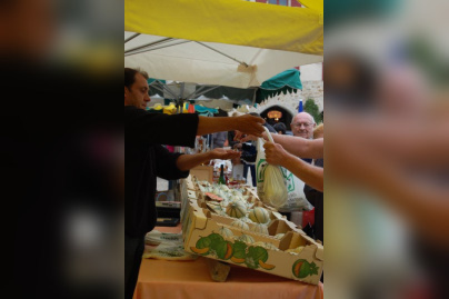 marché des producteurs de pays