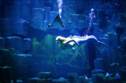 Claire la sirène à l’Aquarium de Paris