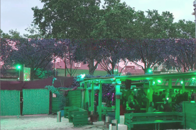 Vide-dressing Violette Sauvage à la Plage du Glazart