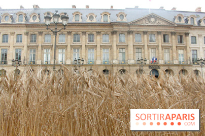 Gad Weil installe son Champ de Blés Place Vendôme