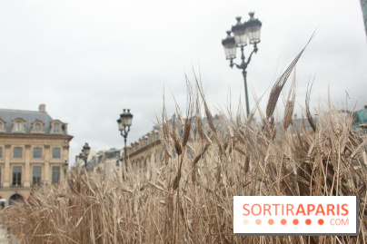 Gad Weil installe son Champ de Blés Place Vendôme