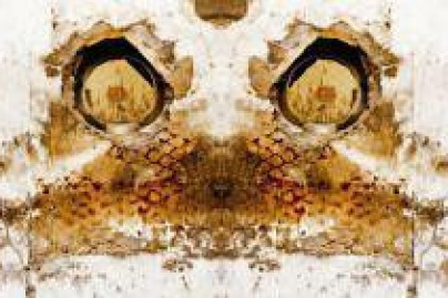 Matières et Sentiments - Exposition Photo de Vincent Perez