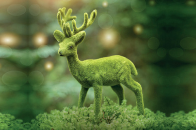 Pousse Pousse 2017, cinéma gratuit pour enfants au Jardin des Plantes