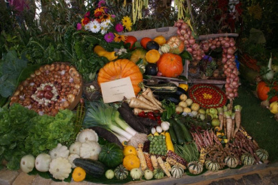 La Saint Félicien à Dourdan, un weekend d'animations gratuites autour du jardin 