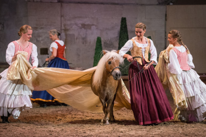 Peau d'âne au domaine de Chantilly