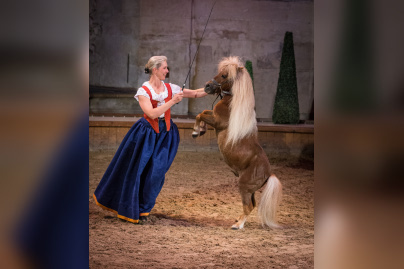 Peau d'âne au domaine de Chantilly