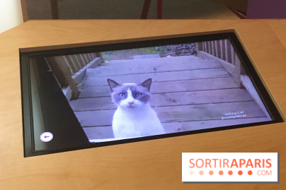 Viral, l'expo au Palais de la Découverte