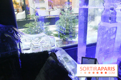 Ice lounge experience au George V