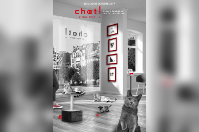 Un pop up store dédié au chat dans le Marais !