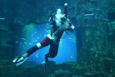 Noël 2018 à de l'Aquarium de Paris