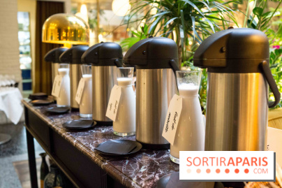 Le brunch vegan et bio de L'Alcazar