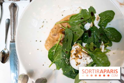 Le brunch vegan et bio de L'Alcazar