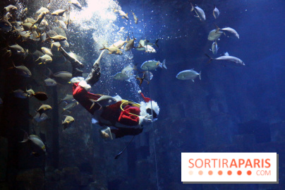 Aquarium de Paris Décembre 2016