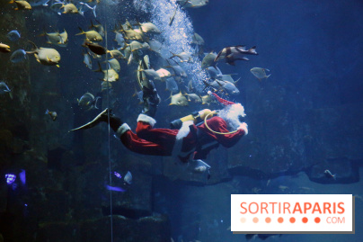 Aquarium de Paris Décembre 2016