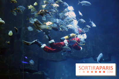 Aquarium de Paris Décembre 2016