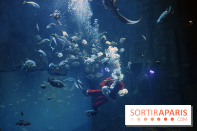 Aquarium de Paris Décembre 2016
