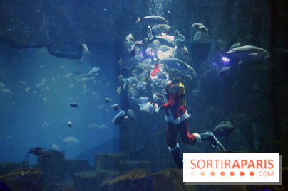 Aquarium de Paris Décembre 2016
