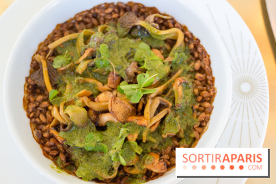 ORE : le nouvel écrin royal d'Alain Ducasse