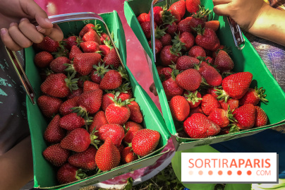 Cueillettes des fraises autour de Paris