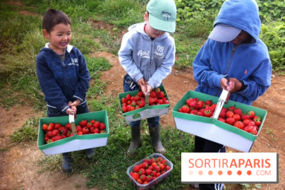 cueillettes des fraises autour de Paris