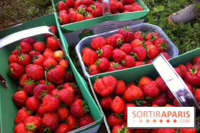 cueillettes des fraises autour de Paris