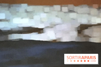 Peter Campus, l'expérience visuelle au Jeu de Paume