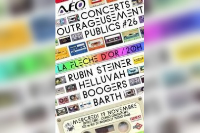 Concerts, Paris, Concerts outrageusement publics, Fleche d'Or, Rubin Steiner