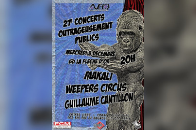 Concerts, Paris, OUrtrageusement Publics, Fleche d'Or, Guillaume Cantillon, Kaolin, Weepers Circus, Makali