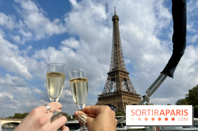 Sortie romantique : Une croisiere privée en couple le long de la Seine à Paris