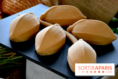 La bûche de Noël 2023 de la Halle aux Grains au sarrasin et noisettes, un coup de cœur