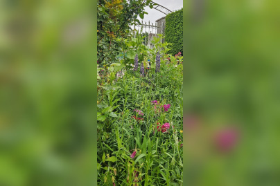 Jardin de Patrick et Roland