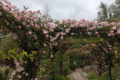 Rendez vous aux jardins jardin des glandelles bagneux