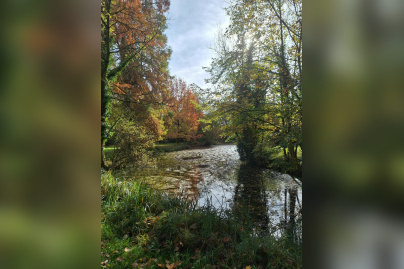 Découvrez le jardin privé d'un centre spirituel à Versailles pour les Rendez-Vous aux Jardins 2026
