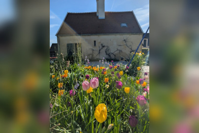 Ce jardin sensoriel s’anime pour les Rendez-Vous aux Jardins 2026 en île-de-France