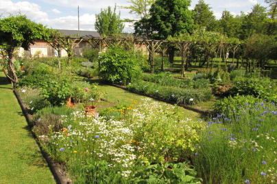 Explorez ce conservatoire botanique à l'occasion des Rendez-Vous aux Jardins 2026